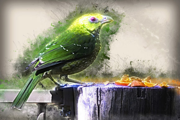 Download Grunge Style Bird Printable Graphics 01 - Premium Resources